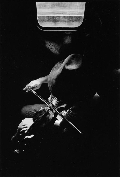 Violin