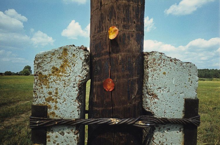Orwochrome