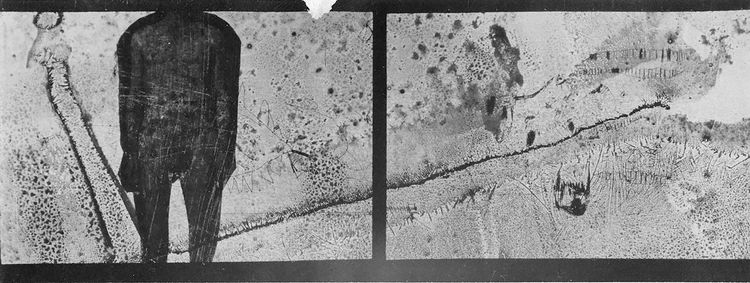 Collagen and Montagen