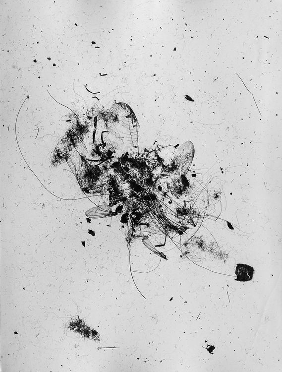 Collagen and Montagen